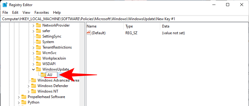 win-11-disable-updates-22