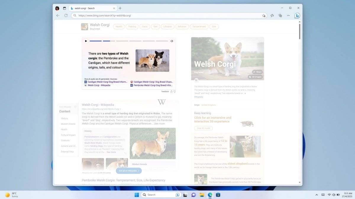 53579-107659-bing-stories-xl 53579-107659-bing-stories-xl