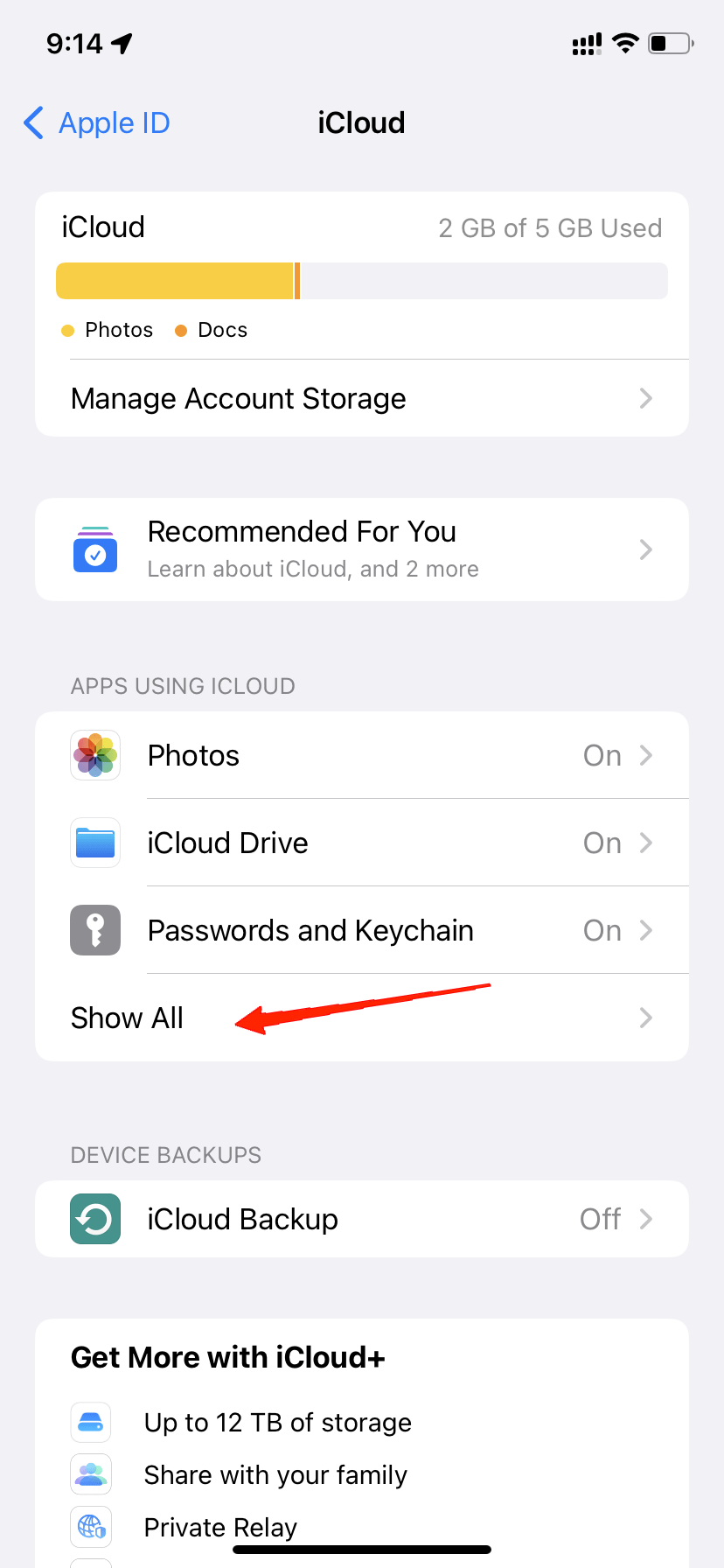 tap-on-show-all-under-the-apps-using-icloud-section