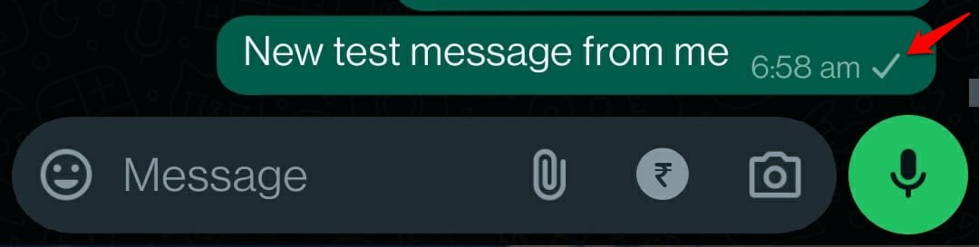 meaning-of-whatsapp-single-grey-tick