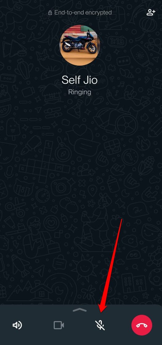 mute-audio-of-whatsapp-call