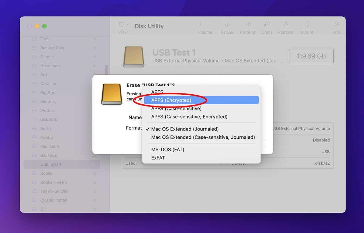 54513-110262-pass1-xl