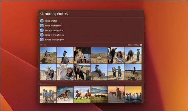 macos_13_ventura_spotlight_search macos_13_ventura_spotlight_search