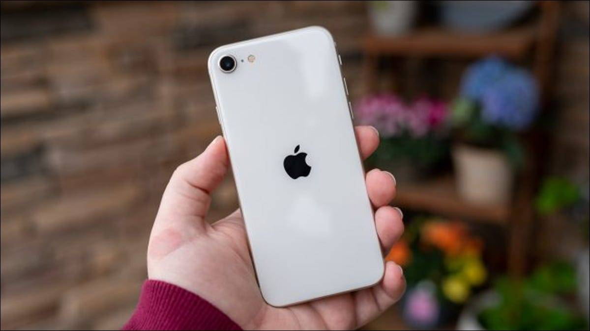 person-holding-an-iphone-se-2022-in-their-hand-650x366-1 person-holding-an-iphone-se-2022-in-their-hand-650x366-1