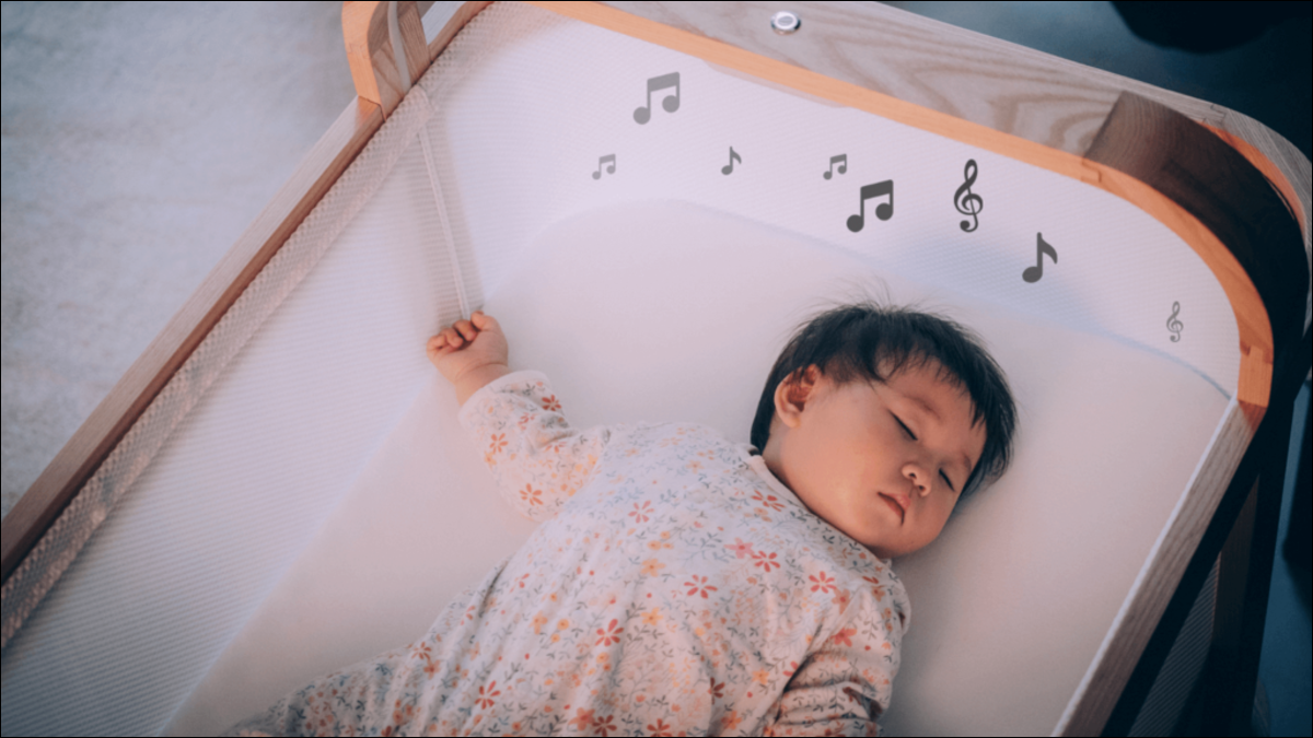 099fb995346f31c 099fb995346f31c