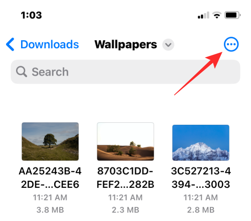 merge-multiple-images-into-pdf-21-a merge-multiple-images-into-pdf-21-a