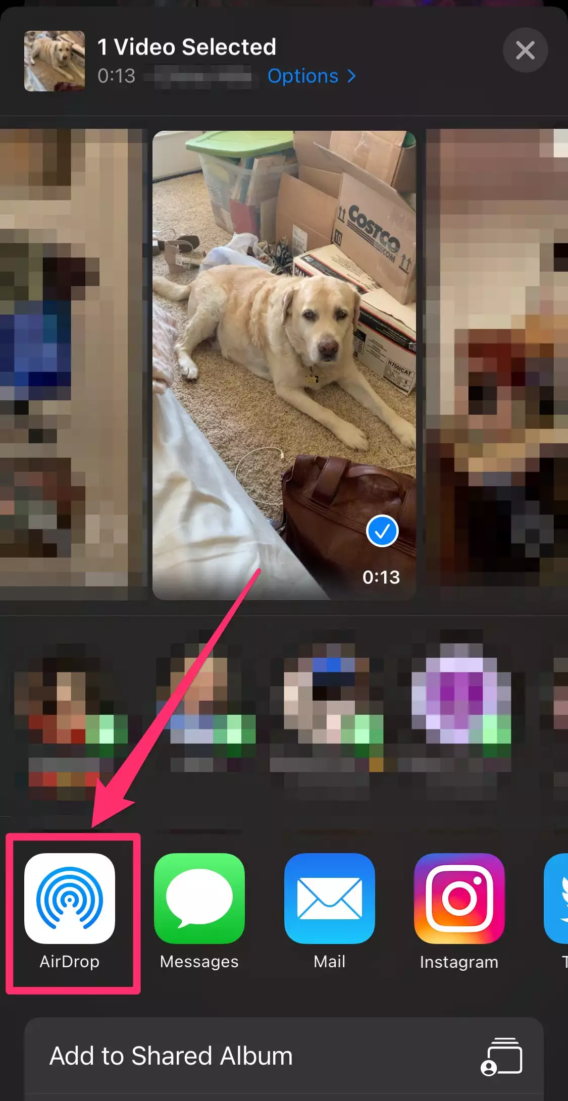 f03bde11d261f18-131 f03bde11d261f18-131