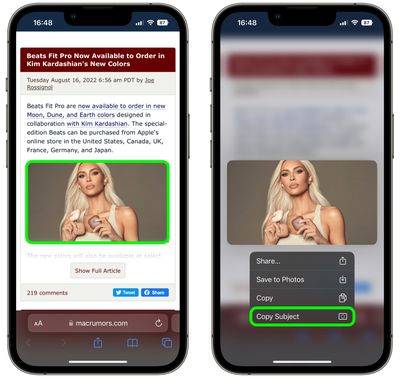 1safari-copy-subject-images-ios