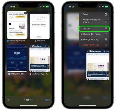 pin-tab-ios-safari pin-tab-ios-safari