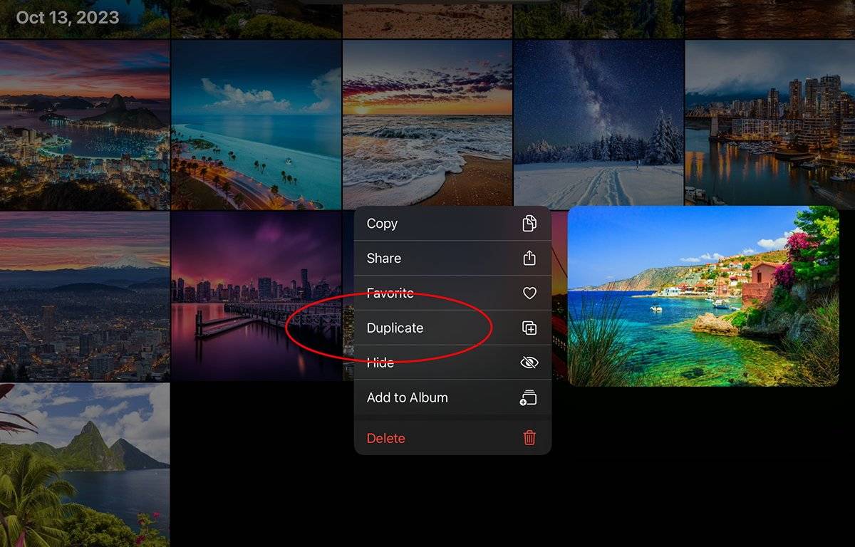 56784-115489-oct-132023-xl