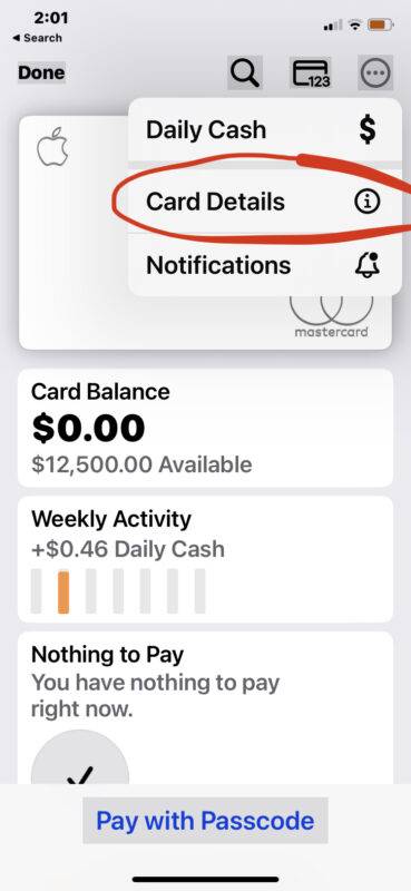 set-up-apple-card-auto-pay-1-369x800-1 set-up-apple-card-auto-pay-1-369x800-1